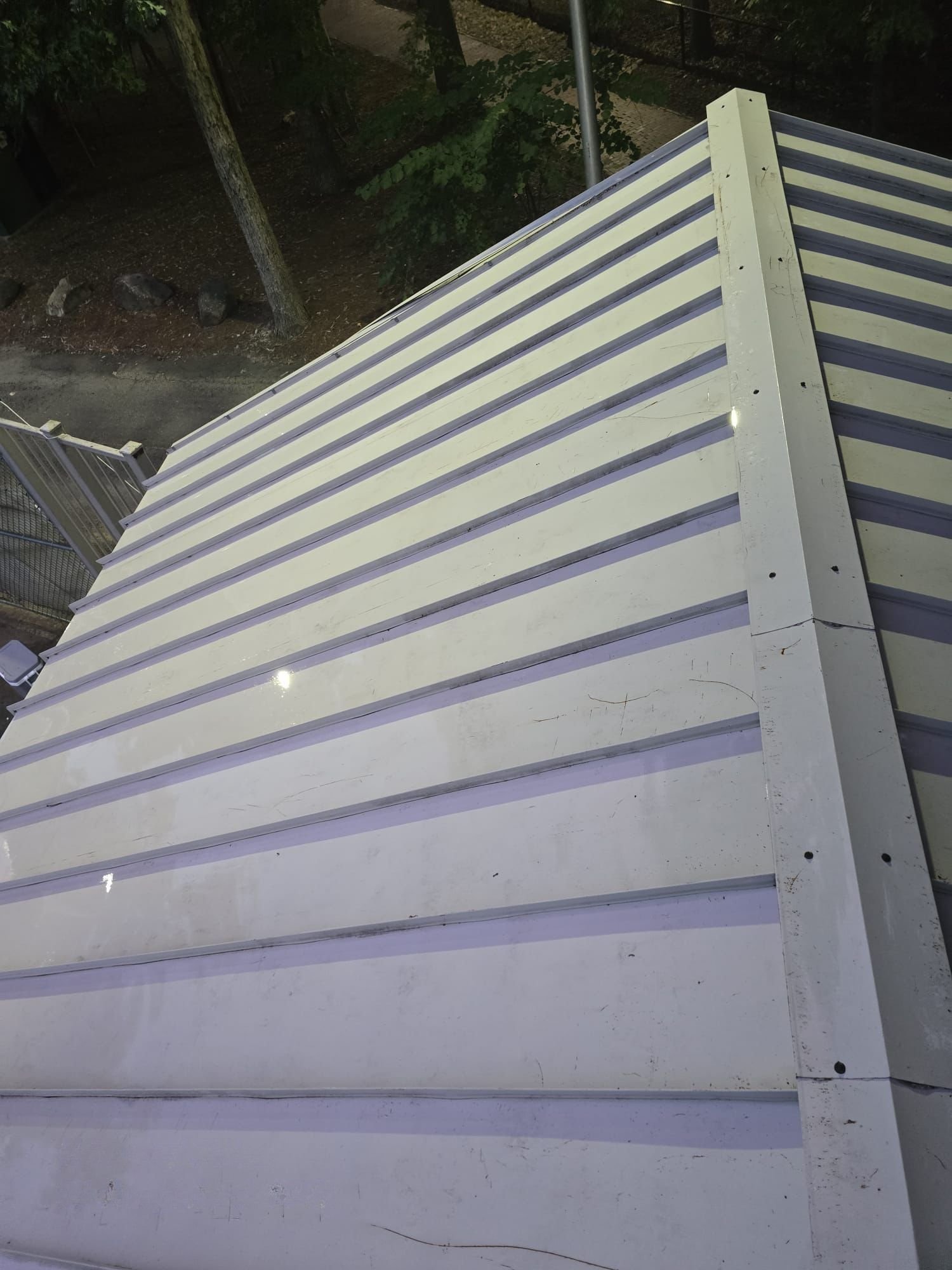 Shed roof after cleaning