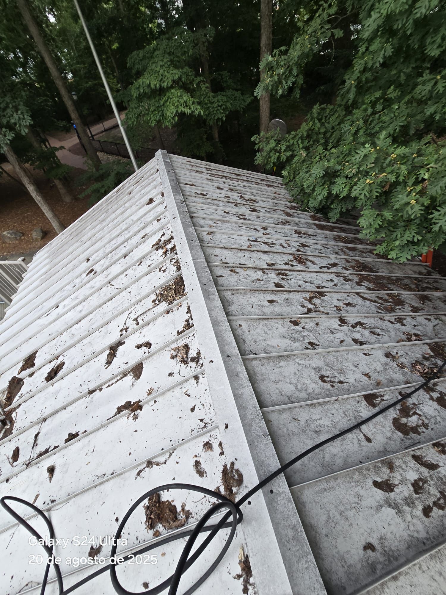 Shed roof before cleaning